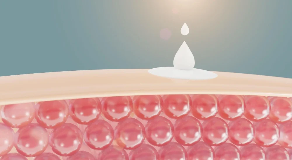 Skin Barrier
